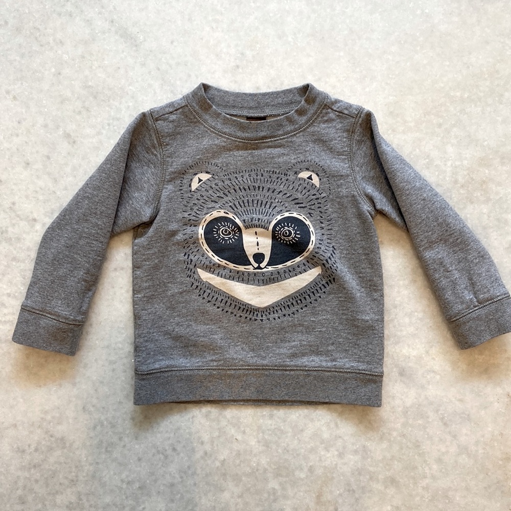 Tea Collection raccoon sweatshirt size 12-18m.
